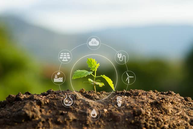 Picture: Shutterstock