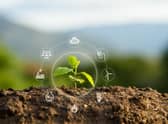 Picture: Shutterstock
