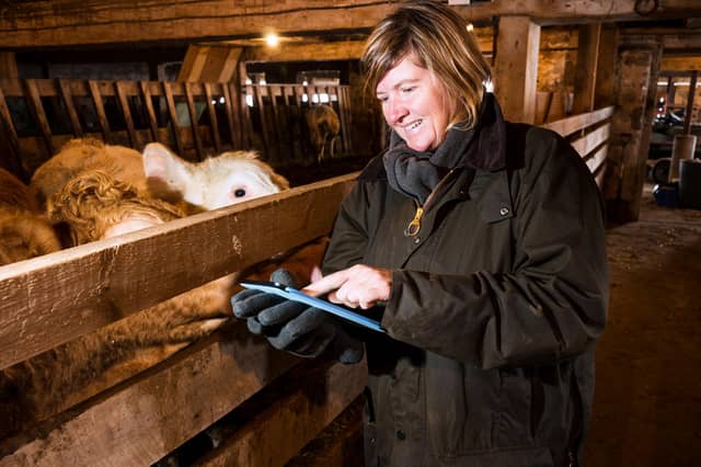 Want to learn to drive a tractor, be a more sustainable farmer or train a sheepdog? You could get help paying for a course to enhance your skills in agriculture