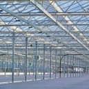 The vast glasshouse is part of a multi-million-pound redevelopment and modernisation project at Newton Nursery near Elgin. Picture: Forestry and Land Scotland (FLS)