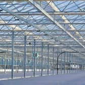 The vast glasshouse is part of a multi-million-pound redevelopment and modernisation project at Newton Nursery near Elgin. Picture: Forestry and Land Scotland (FLS)