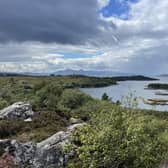 A 'historic' global deal to safeguard nature has been agreed at the United Nations biodiversity summit Cop15, with countries pledging to protect 30 per cent of the world's lands, seas, coasts and inland waters by 2030 as part of a new plan to halt loss of species and reverse declines. Picture: Ilona Amos