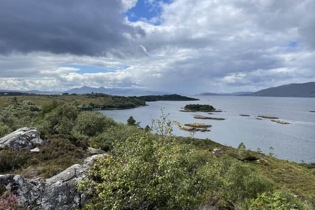 A 'historic' global deal to safeguard nature has been agreed at the United Nations biodiversity summit Cop15, with countries pledging to protect 30 per cent of the world's lands, seas, coasts and inland waters by 2030 as part of a new plan to halt loss of species and reverse declines. Picture: Ilona Amos