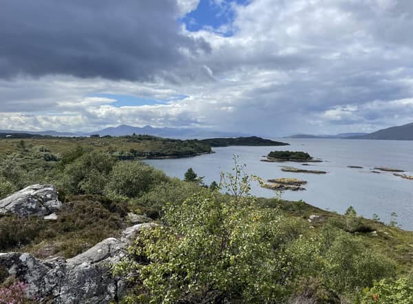 A 'historic' global deal to safeguard nature has been agreed at the United Nations biodiversity summit Cop15, with countries pledging to protect 30 per cent of the world's lands, seas, coasts and inland waters by 2030 as part of a new plan to halt loss of species and reverse declines. Picture: Ilona Amos