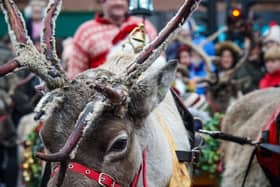 The Reindeer Parade returns to Inverurie as part of the festive celebrations.