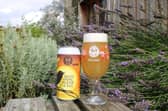 Sales of Black Isle Brewery's Silent Spring, inspired by the famous environmental book of the same name, will help fund tree-planting projects across the globe through a hook-up with not-for-profit green search engine Ecosia