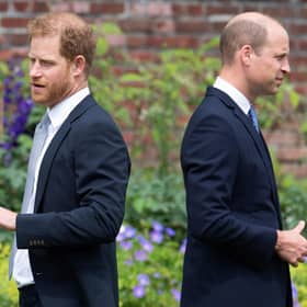 Harry, Duke of Sussex (left) and Prince William, Duke of Cambridge attend the unveiling of a statue of their mother, Princess Diana at The Sunken Garden in Kensington Palace. Picture: Dominic Lipinski/POOL/AFP via Getty Images