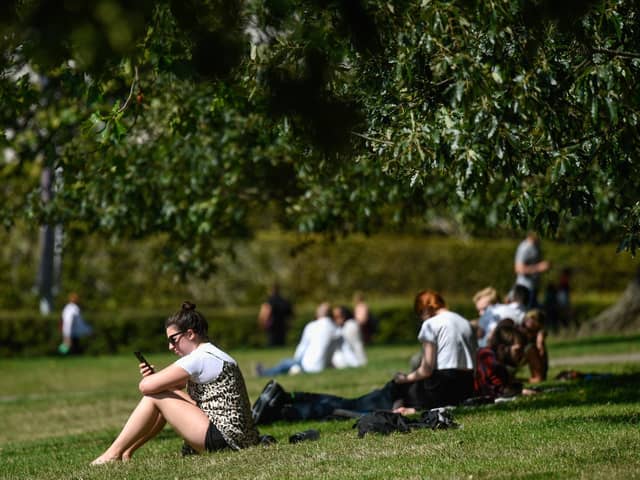 People enjoying a park on a warm day.