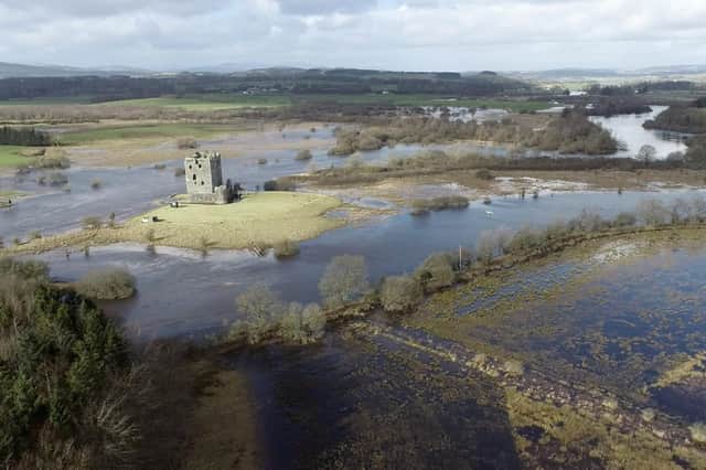 The National Trust for Scotland said over the next century it will transform 200 acres of countryside at Kelton Mains, on the trust's Threave Estate, boosting biodiversity and allowing different species to flourish.