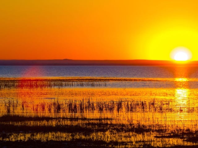 The bronze medal goes to aurora. Meaning: The dawn in the early morning.