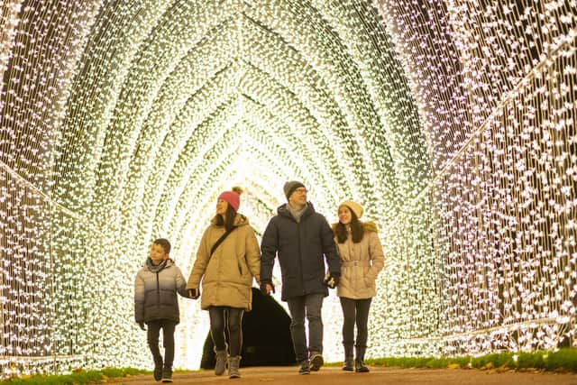 Christmas Cathedral by Mandylights. Photo by Phil Wilkinson.