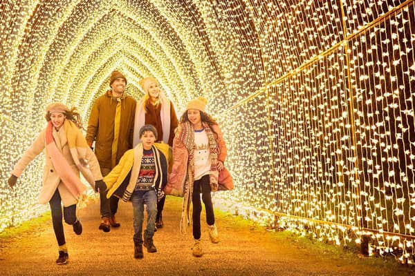 The ever popular Christmas Cathedral at Royal Botanic Garden Edinburgh