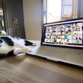 A cat drops in during a video-conference call (Picture: Vittorio Zunino Celotto/Getty Images)