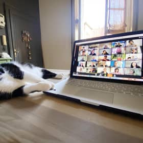 A cat drops in during a video-conference call (Picture: Vittorio Zunino Celotto/Getty Images)