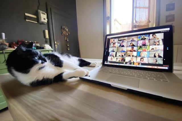 A cat drops in during a video-conference call (Picture: Vittorio Zunino Celotto/Getty Images)