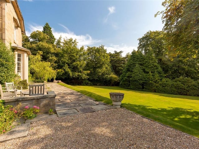 Front garden.