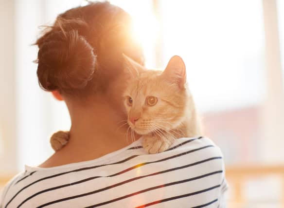 Following a few simple tips could lead to you building a deeper bond with your cat.