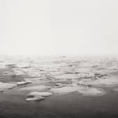 L'Anse Aux Meadows by Thomas Joshua Cooper