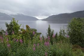 Sandy Fraser, owner of the Oak Tree Inn and village shop in Balmaha in Loch Lomond, said he did not blame most tourists to the area for waste problems