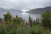 Sandy Fraser, owner of the Oak Tree Inn and village shop in Balmaha in Loch Lomond, said he did not blame most tourists to the area for waste problems