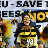 Demonstrators call for a full ban on bee-killing pesticides