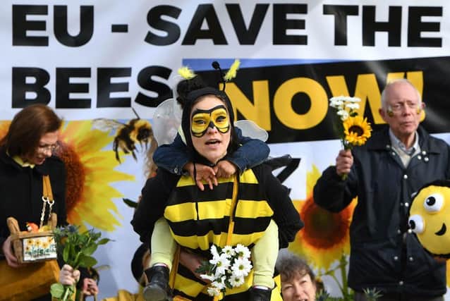 Demonstrators call for a full ban on bee-killing pesticides