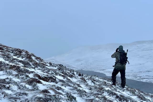 A stalker from NatureScot surveys the landscape at Loch Choire. PIC: NatureScot.