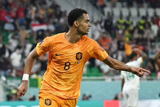 Cody Gakpo, the Netherlands' top scorer with three goals, could get more - if his team get far enough into the tournament to give him the chance. He's 17/2 for the Golden Boot.