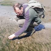Dr Alastair Lyndon, senior lecturer in marine biology at Heriot Watt University,  is leading the Restoration Forth project which will take three years and map seagrass across the River Forth and restore around four hectares of  meadows