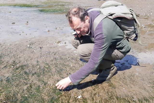 Dr Alastair Lyndon, senior lecturer in marine biology at Heriot Watt University, is leading the Restoration Forth project which will take three years and map seagrass across the River Forth and restore around four hectares of meadows