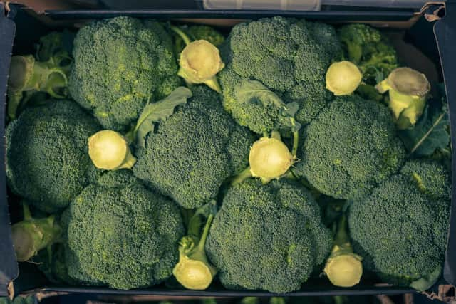 As well as providing two meals a day for service users, Empty Kitchens Full Hearts has just begun creating a community garden where local people can get involved in growing food. Picture: Scott Barron