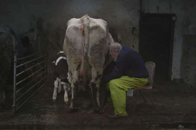 Prince of Muck will be screened in 12 locations across Scotland when it is launched as part of the Edinburgh International Film Festival.