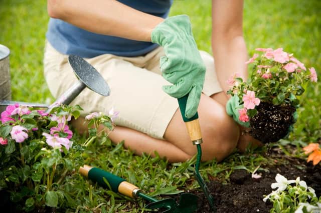 These are the best plants to grow in springtime (Photo: Shutterstock)