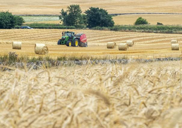 Farmers and crofters need clear commitments about future funding (Picture: Lisa Ferguson)