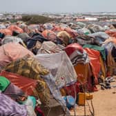 The worst drought  for 70 years is causing people to leave their homes in search of more access to food, water, and services  -- more than 7.5 million people have been displaced due to drought in 2022 so far. Picture: Mercy Corps