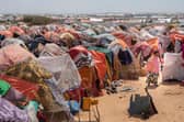The worst drought  for 70 years is causing people to leave their homes in search of more access to food, water, and services  -- more than 7.5 million people have been displaced due to drought in 2022 so far. Picture: Mercy Corps