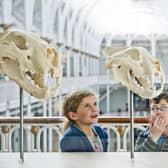 The National Museum of Scotland will be among sites closing for the Queen's funeral on Monday. Picture: National Museums Scotland