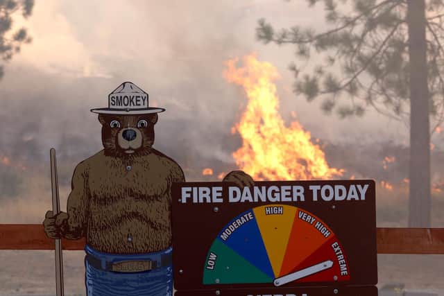 Fire threatens a Smokey the Bear warning sign near Jerseydale, California (Picture: Justin Sullivan/Getty Images)