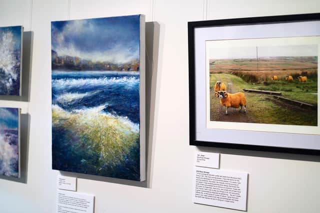 Artworks by Fraser Irvine (left) and Ella Rose Shnapp (right) in the Bardennoch exhibition in the Kirkcurdbright Galleries, Dumfries and Galloway. (Credit: Rachel Shnapp)