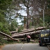 As climate change increases, severe storms will put pressure on important infrastructure designed with more benign conditions in mind (Picture: Paul Ellis/AFP via Getty Images)