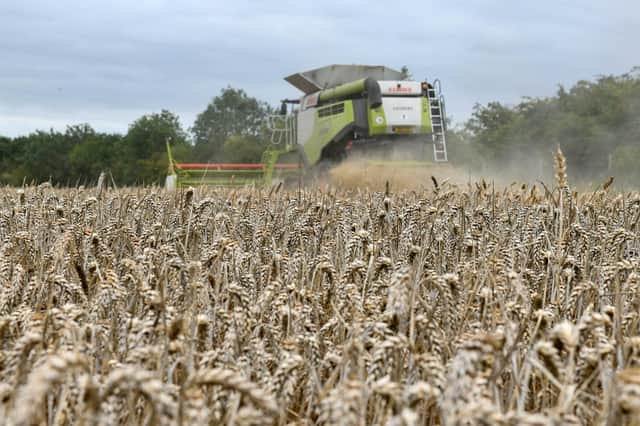 Agriculture will play a key role in mitigating climate change
