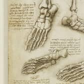 Leonardo Da Vinci's anatomical drawings show the connection between art and science