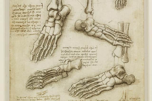 Leonardo Da Vinci's anatomical drawings show the connection between art and science