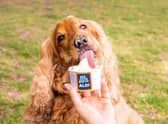 Aldi is launching a new dog-friendly ice cream for pups to enjoy this summer.