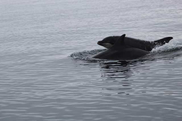 These incredible pictures were taken by teacher Eddie White while he was in Fife with his family.