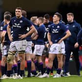 Scotland didn't play to their potential in the defeat by Wales. (Photo by Stu Forster/Getty Images)