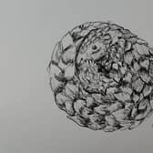 Joanna Lumley's pangolin