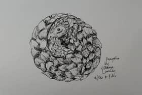 Joanna Lumley's pangolin