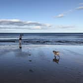 Wild swimming has seen a huge surge in popularity, with many more people taking to the sea outwith the official bathing season, which runs from 1 June to 15 September