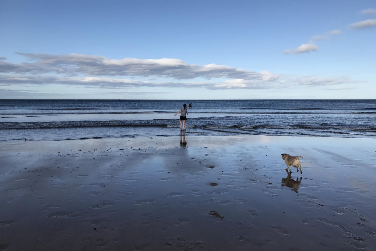 When contamination at favourite swim spots is more than just a plop in the ocean